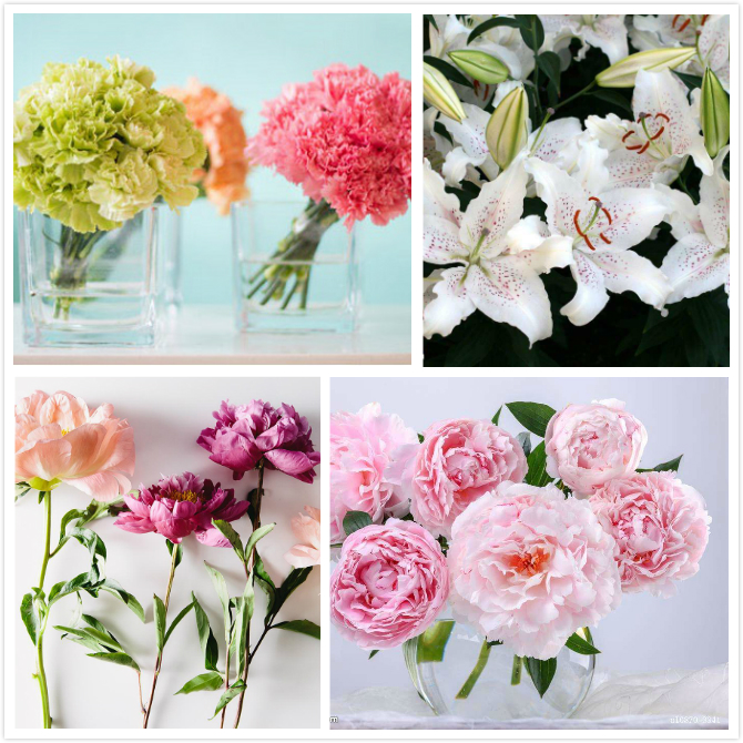 母亲节的礼物阅读,母亲节礼物食谱