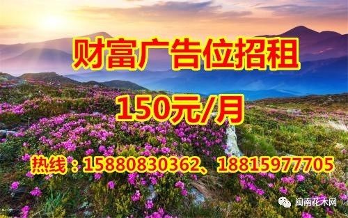 植物图鉴城市常见景观树,路边常见的植物