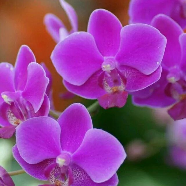 破财有征兆，一看面相就知道了！