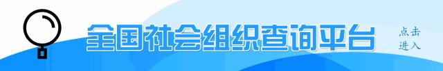 全国社会组织在哪查询,社会组织基本情况