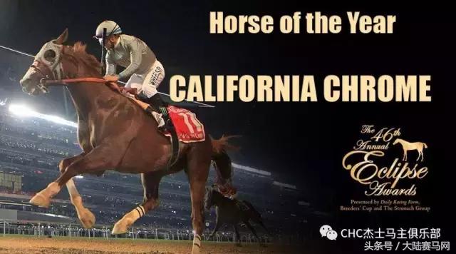 合买马匹、降低风险、共享收益已是全世界共识