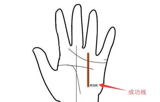 女性右手十字纹和通天纹,五条手纹的命运