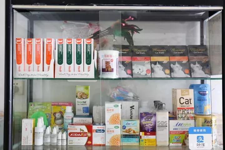 喂！妖妖灵吗？韶关这条巷子内有人聚众吸猫！已经有人沦陷了……