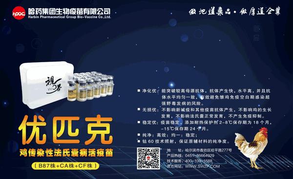 动物性食品中兽药残留量检测,兽药残留对食品安全性影响