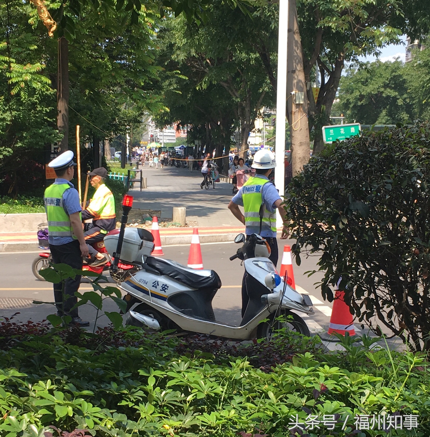 上海市最新防汛通知,上海防汛工作报道
