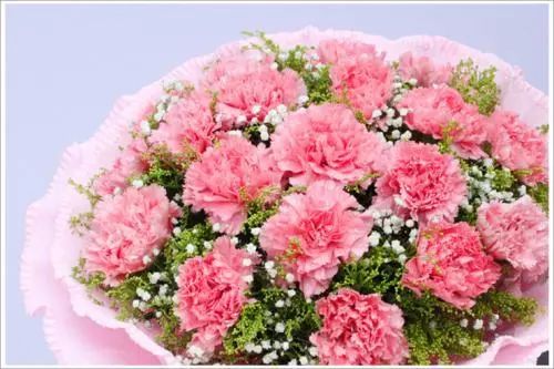 母亲节送花送啥花最合适,母亲节除了送花还能送什么学生党