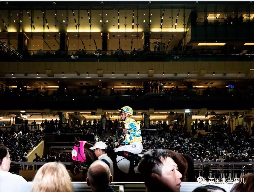 靠赌马赚了10亿美金，这个人最近终于浮出了水面……