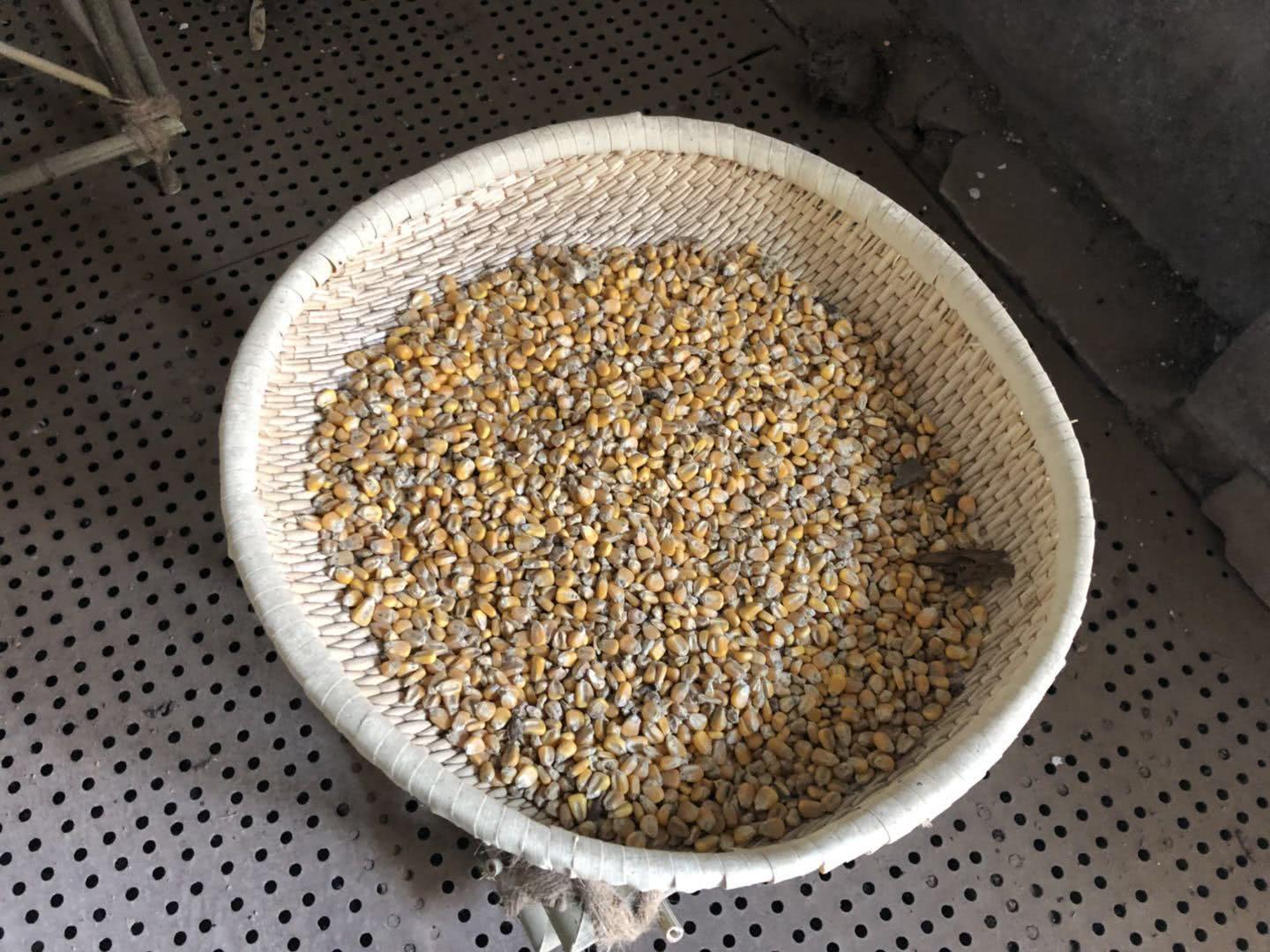 河南濮阳岳古酒价格表,濮阳岳古酒