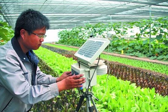 如何申报国家农业政策性补贴,补贴政策2022年农业补贴怎么申领