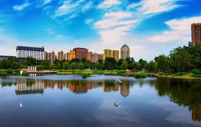 新经济领军者视频,新经济时代的领头羊