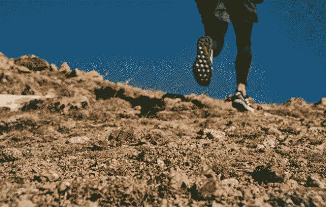 adidasterrex鞋秋季,adidas限量发售怎么抢