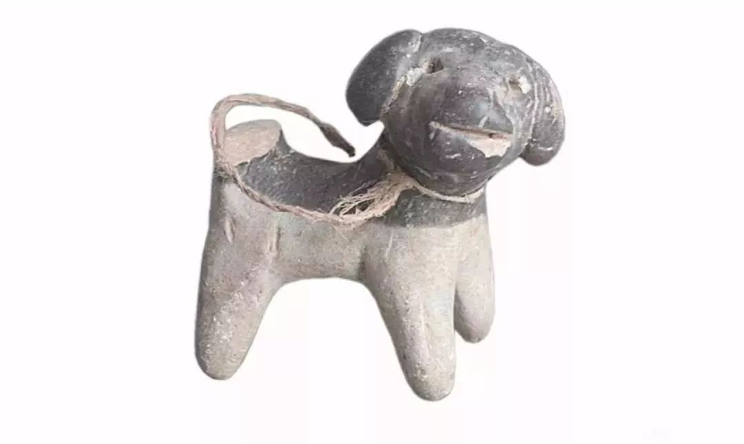 关于狗主子的案例,狗主子的悲惨生活