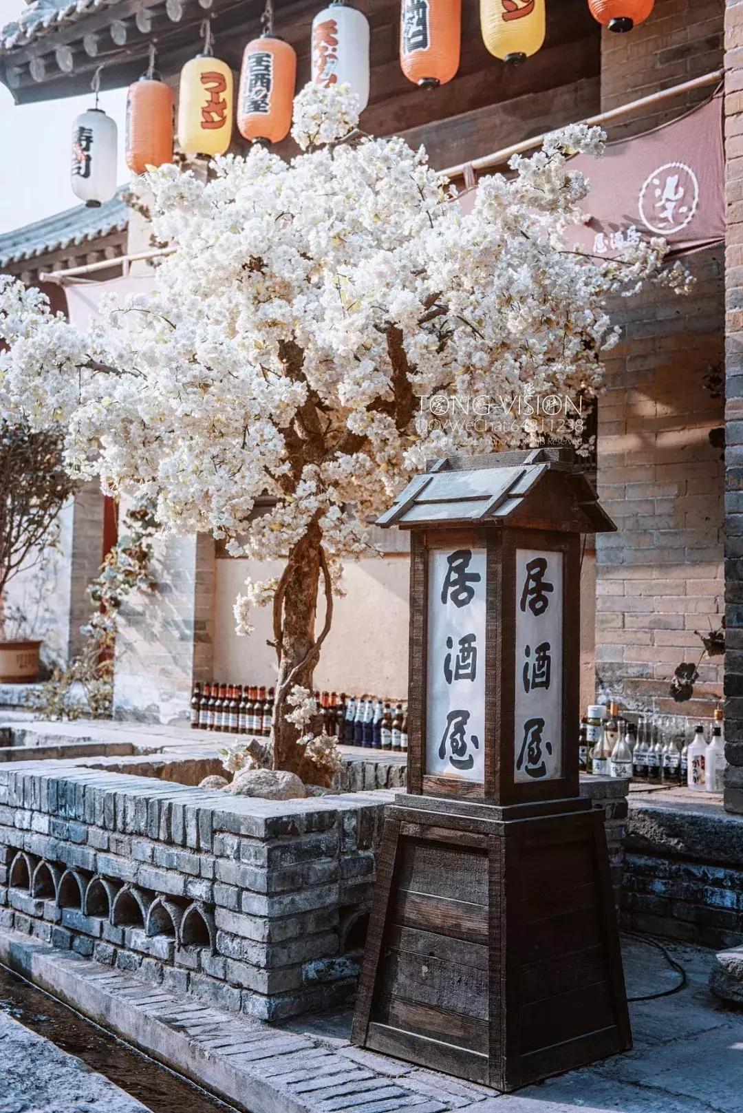 妖猫传电影中最美的片段,电影妖猫传长安的图片