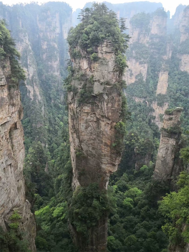 香港人组团游张家界,姐妹相约张家界三日游