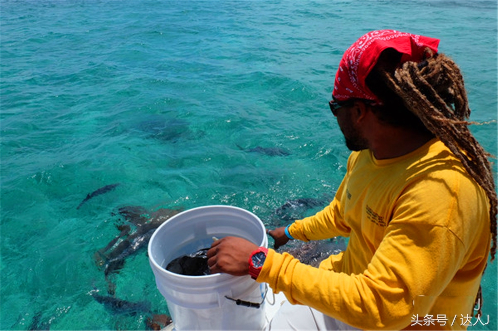 伯利兹大蓝洞好看吗,伯利兹大蓝洞有多深