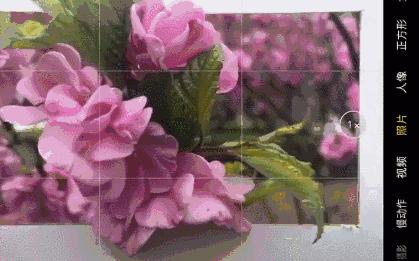 卷毛佟的吸粉秘籍：每天只刷2小时抖音，如何获得200w粉丝？