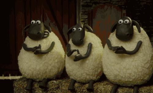 巴彦淖尔旅游需要准备哪些东西,错过等一年活动视频