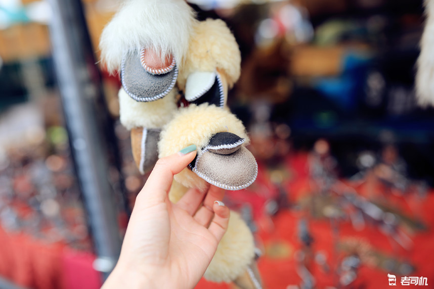 英国剑桥的康桥,英国剑桥大学的康桥