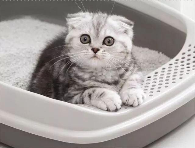 简单实用的去黑头方法,去黑头小妙招13岁