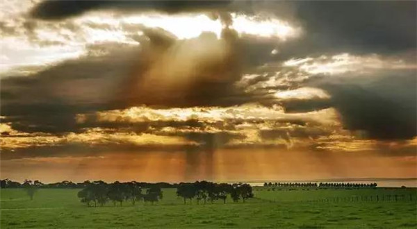 涓囪豹鍑哄浗,涓囪豹鍑哄浗瀹屾暣瑙嗛