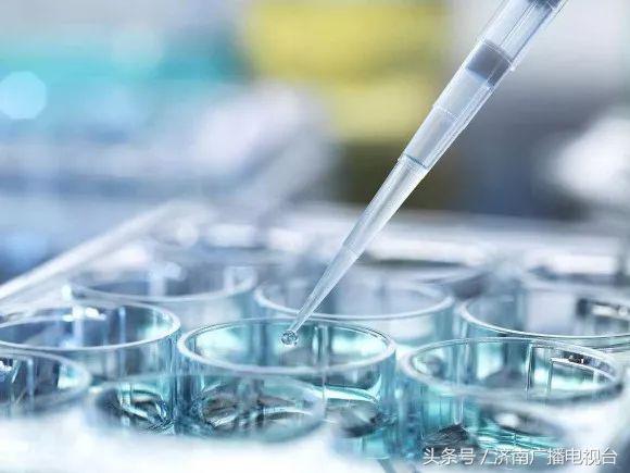 徐静蕾冻卵能生孩子吗,林志玲徐静蕾