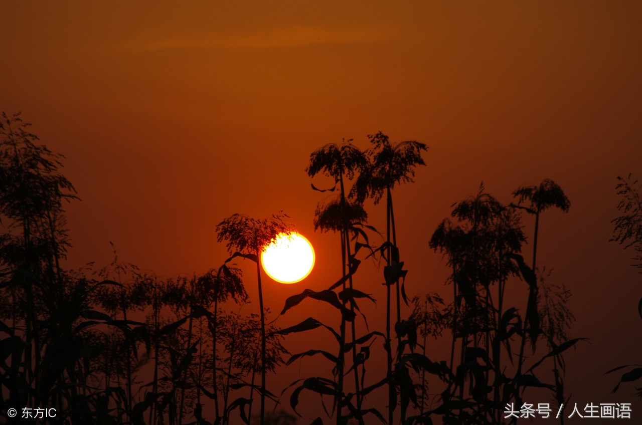 世界上最不值钱的就是无用的社交,世界上最亏本的事就是发脾气