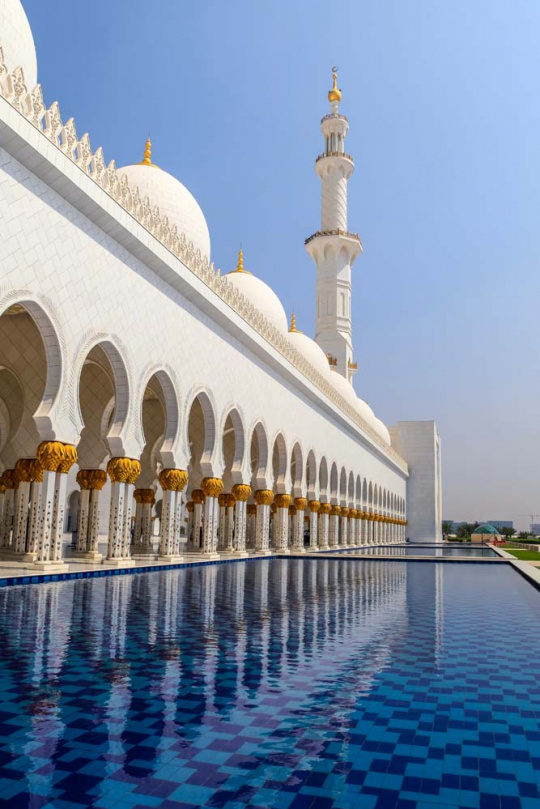 佳能80d和5d2怎么选,佳能5d2和80d拍照对比