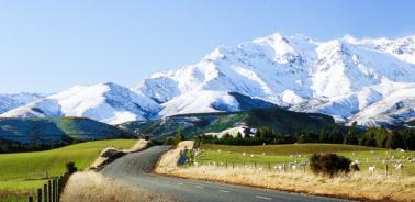 a2牛奶和普通牛奶有什么不一样,a-2牛奶