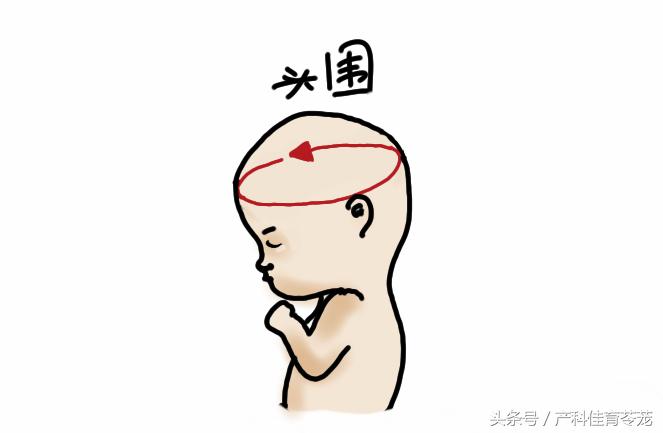如何看懂乳腺超声检查报告,怎么能让临床医生看懂超声报告