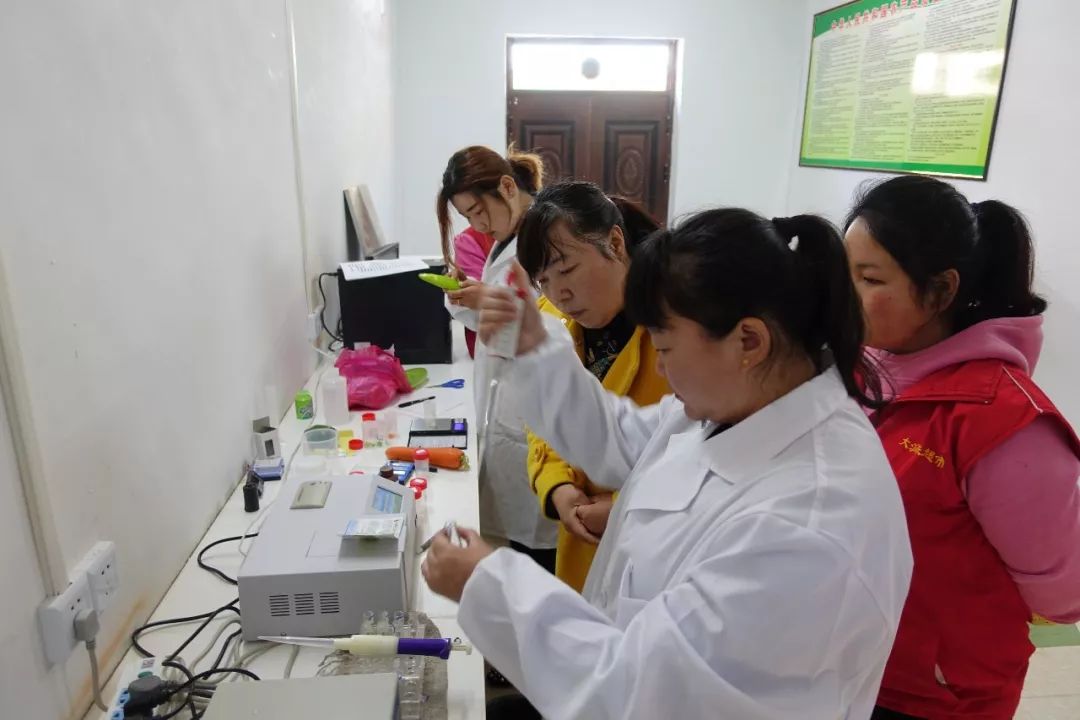 孟津袖珍西瓜多少钱,孟津袖珍西瓜新品种