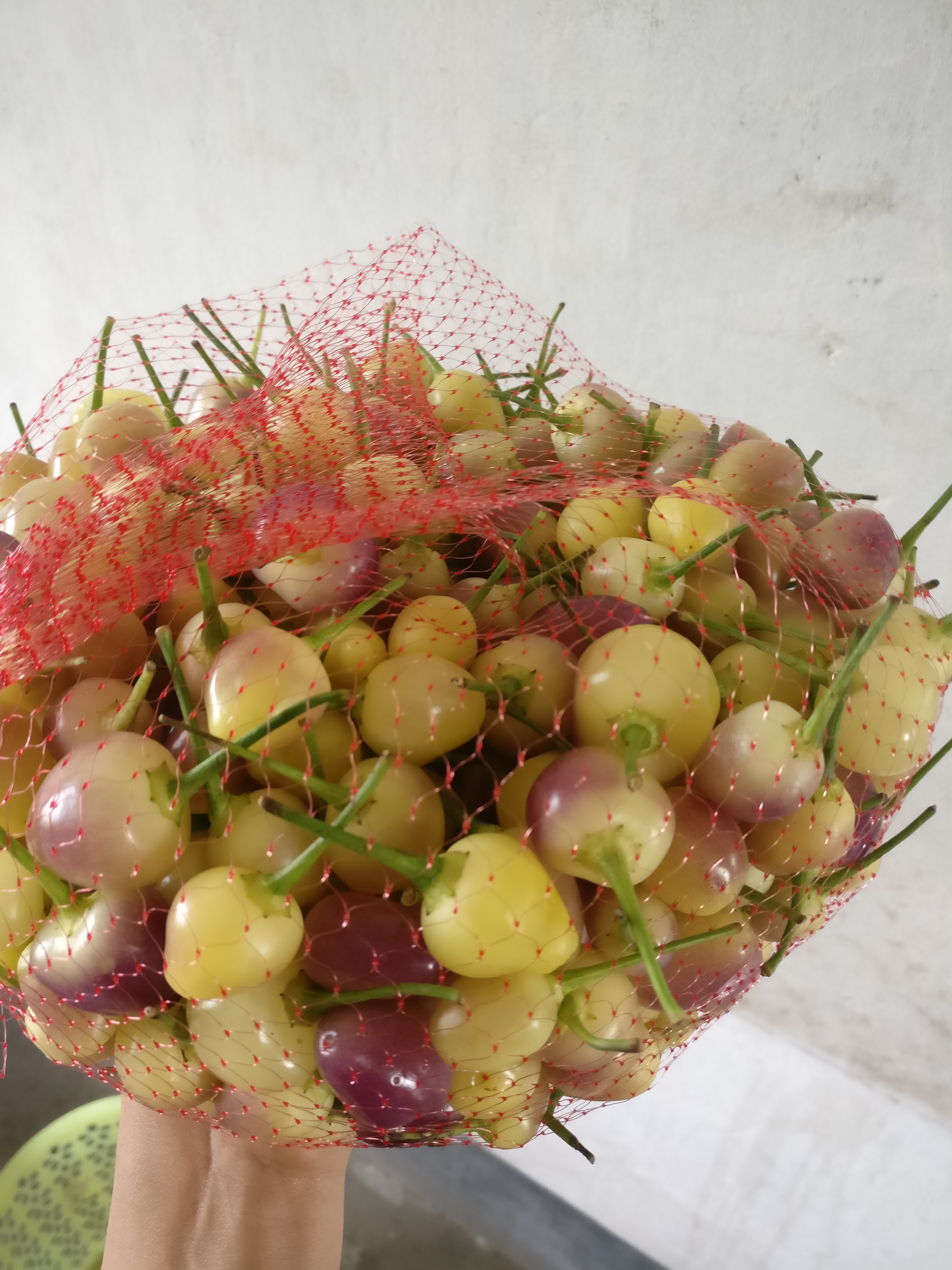 七彩椒泡椒制作方法小视频,七彩椒怎么做好吃家常