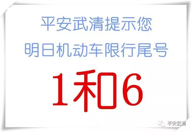 雍阳警事最新,雍阳事件