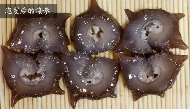 揭秘海参内幕,海参市场的真实现状