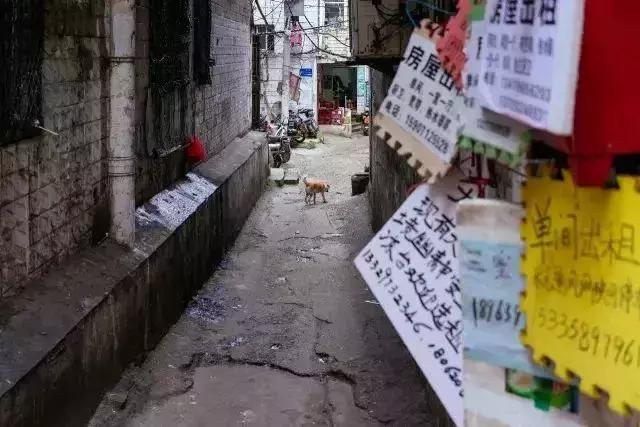 毕业生注意了！5年以上的汉漂总结出来的武汉生存攻略，超实用！