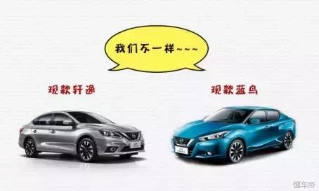 历代蓝鸟车型,老款蓝鸟和新款蓝鸟对比
