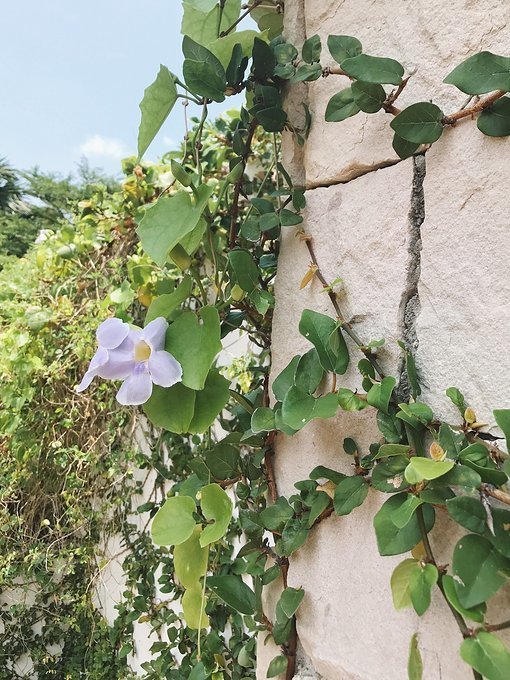 泼水节旅游详细攻略,泼水节应该去曼谷还是芭提雅