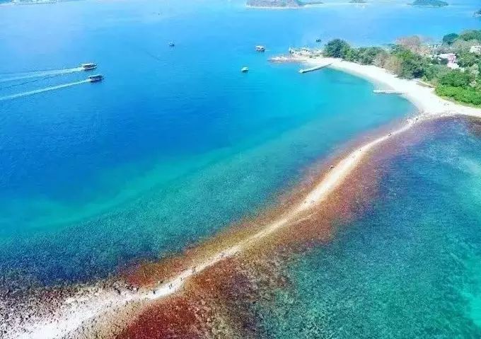 香港旅游必去十大景点2019 (香港旅游攻略免费推荐景点)