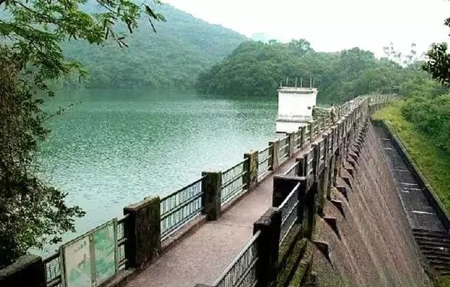 香港旅游必去十大景点2019 (香港旅游攻略免费推荐景点)