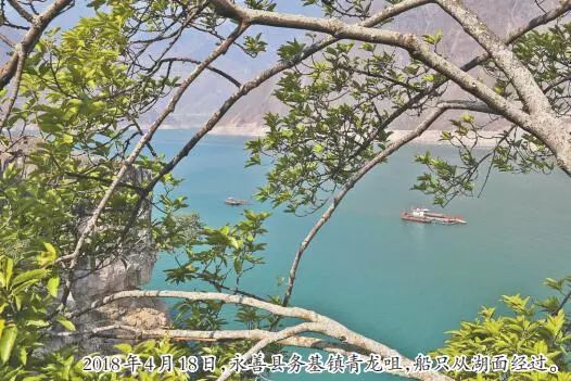 金沙江的水为什么是绿青色,金沙江水绿色什么原因