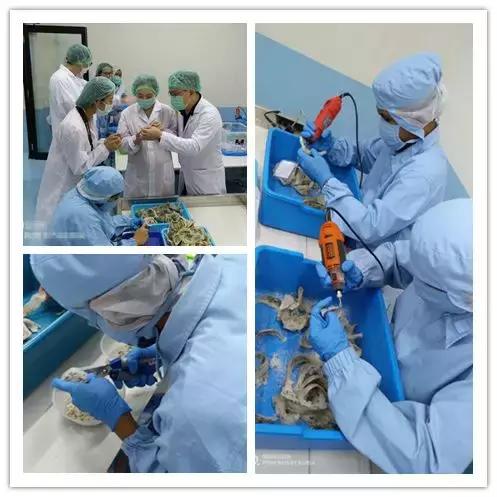 燕窝原料讲解平台,燕窝用什么品种燕窝做