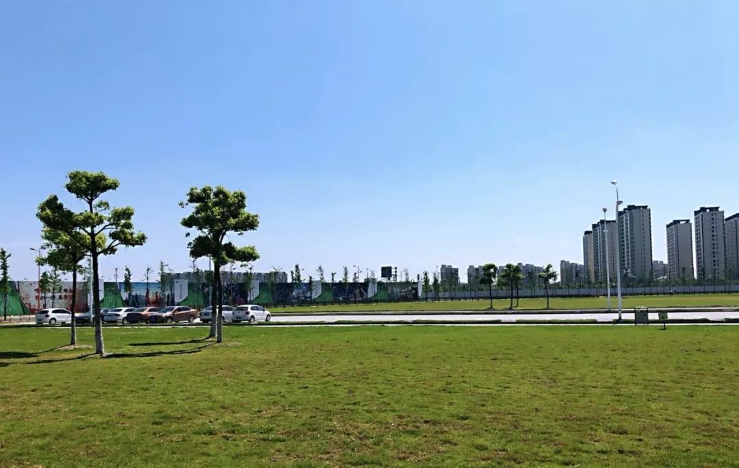 松江免费开放的足球场,松江万达草坪