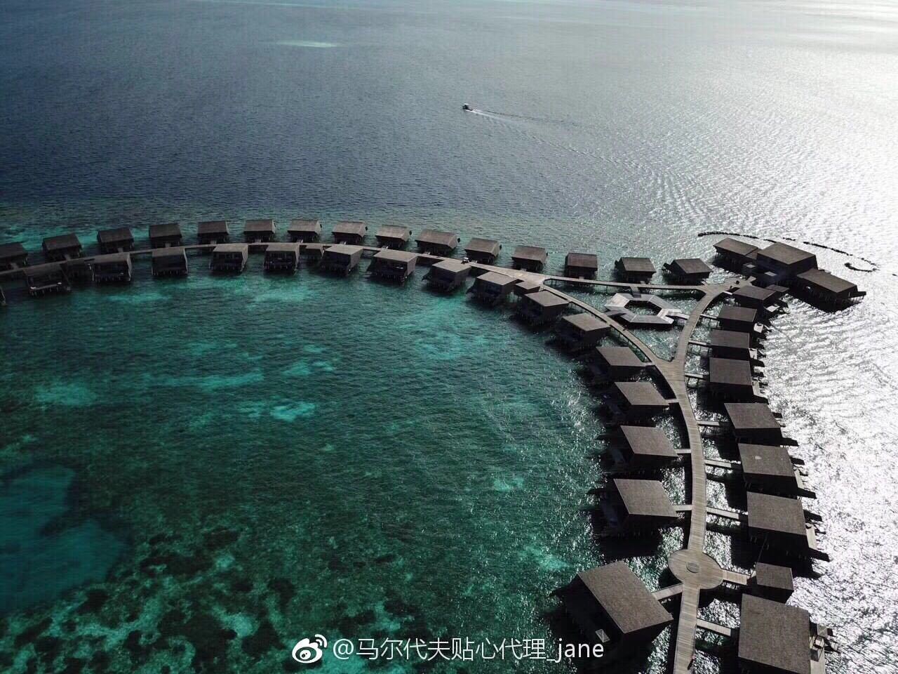 椹皵浠ｅか閫夊矝鍒嗙骇,椹皵浠ｅか浜插瓙閫夊矝鏀荤暐