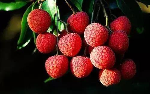 海南共享农庄批几个村庄,海南2019年首批共享农庄