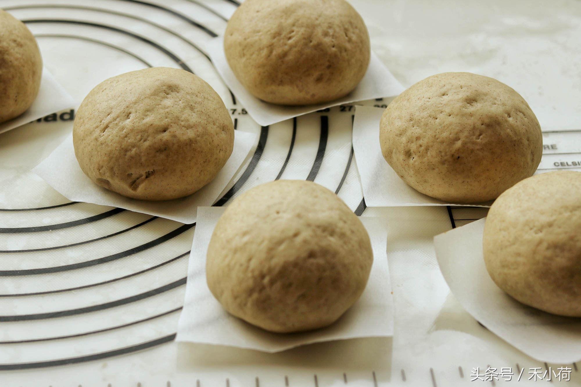 什么粗粮做馒头好吃又有营养,什么粗粮馒头耐饿又好吃