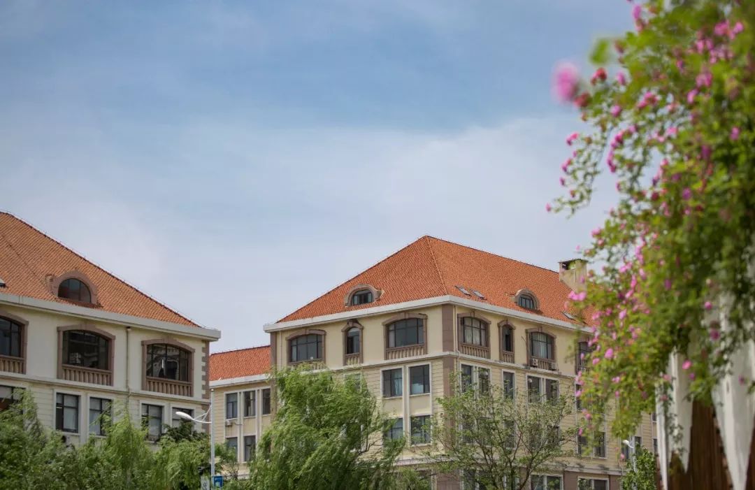 海大校花,海大双胞胎校花