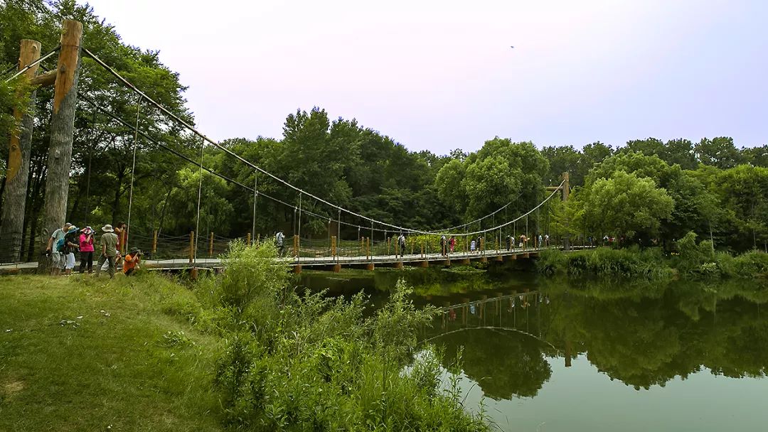 秦皇岛5.1游玩好去处,秦皇岛6月份游玩攻略