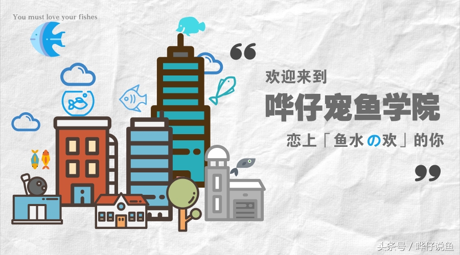 硝化细菌宠物鱼,硝化细菌养宠物鱼