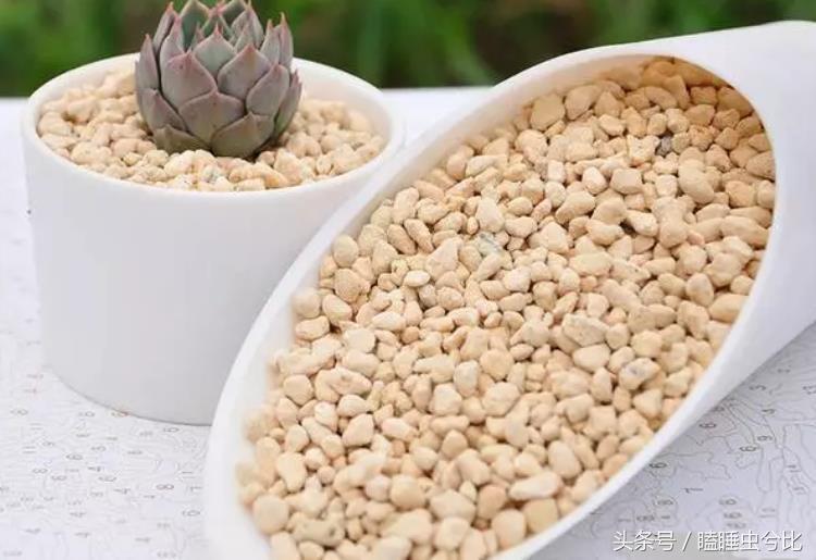 颗粒土和营养土哪个养多肉好,养多肉用什么土和什么肥料