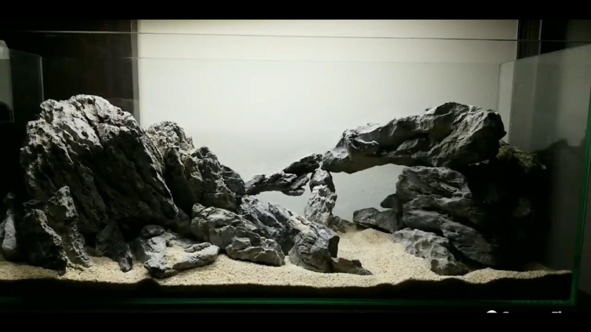 石头开缸需要养水吗,纯石头缸能养出硝化细菌吗