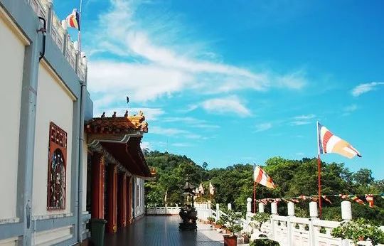 婆罗洲最神奇的探秘之旅,婆罗洲雨林探险